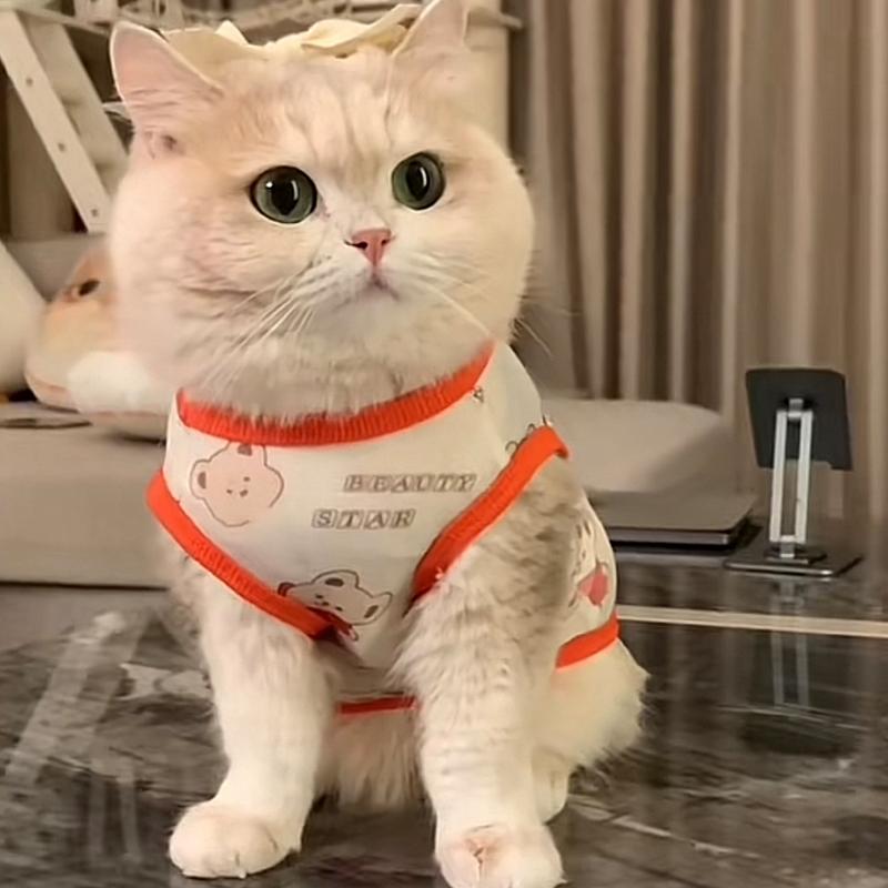 Pet Cat Clothes Summer Anti-hair Loss Cute Gold Gradient Ragdoll Cat British Short Summer Breathable Small Vest