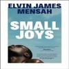 Small Joys by Elvin James Mensah Paperback Book 9781398514911
