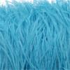 Feather1 Bundle Piume di Struzzo Naturali Filo Colorato 10-15/15-18CM Piumaggio Soffice Per Abiti Borsa Decorazione Artigianato Cucito