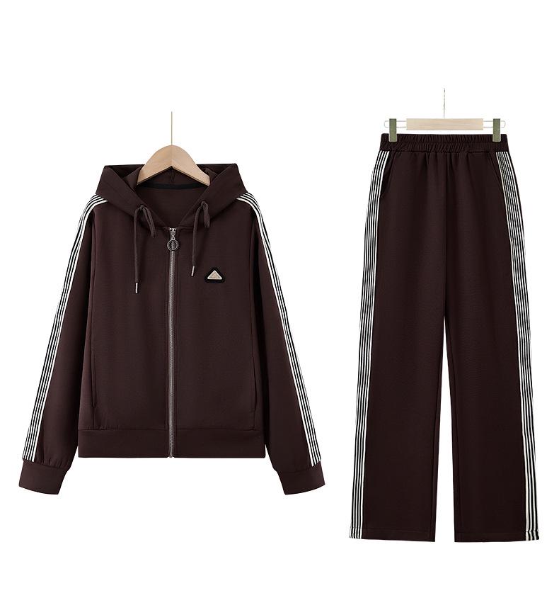 Women's Casual Spring Two-Piece: Loose Zipper Jacket & Elastic Waist Pants for Middle-Aged & Elderly
