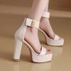 Fashion Women High Heels Sandals Elegant Platform Shoes Sexy Fashion Pumps Summer Heeled Shoes Woman 2025 Trend Brand Dress Lady Zapatos