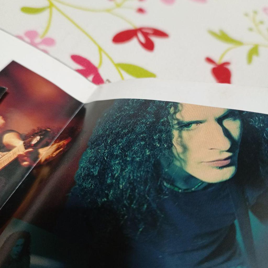 [USED] blues saraceno hair pick blues saraceno guitar