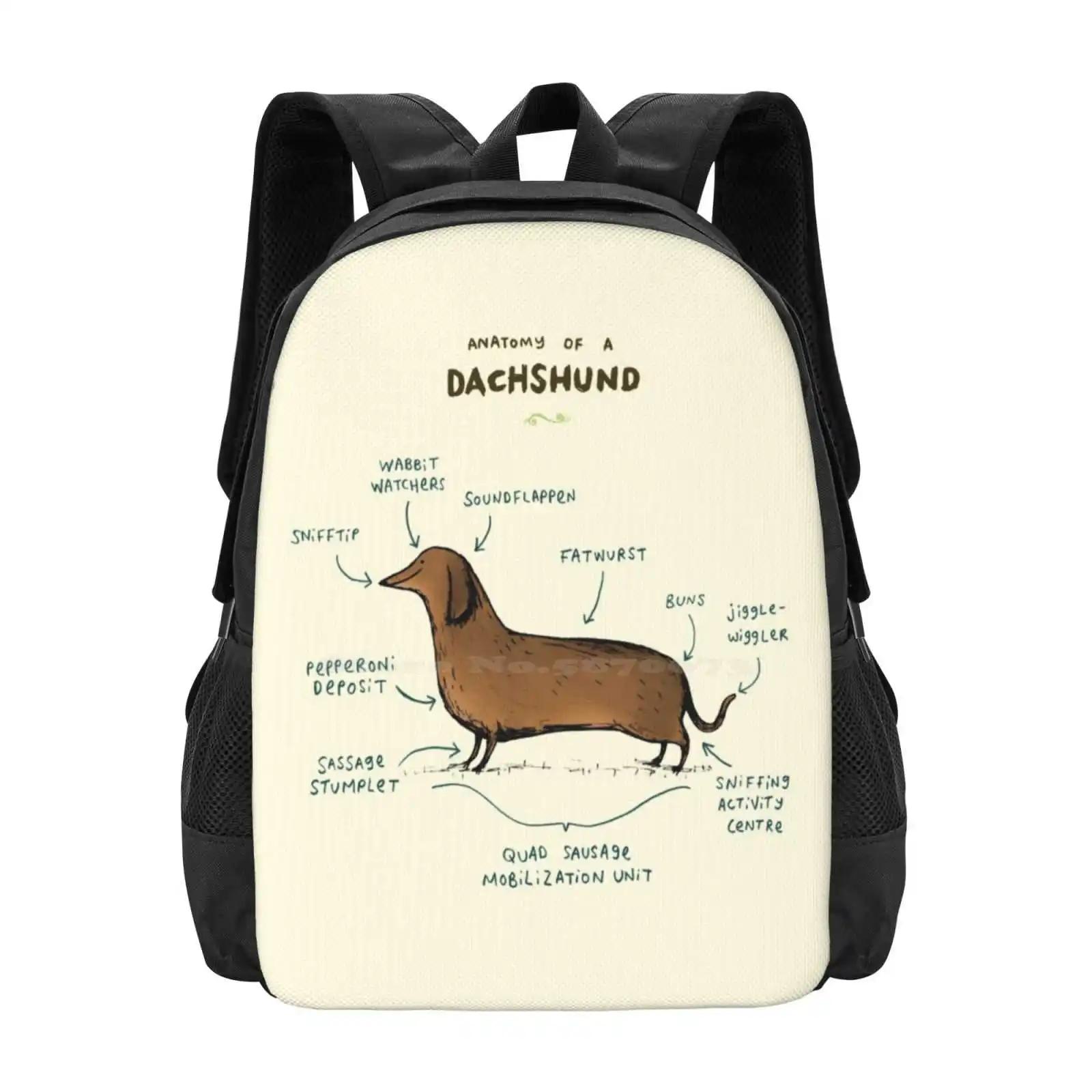 Anatomy Of A Dachshund School Bags