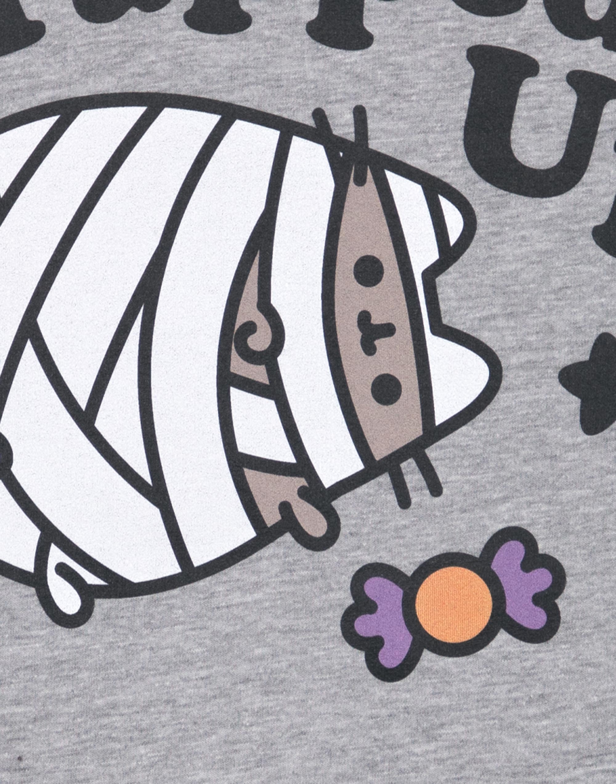 Pusheen Short Sleeved TShirt womens Grey Marl Official Merch S