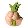 The Design of The Grass-holding Resin Decorative Item Symbolizes Cute Home Decoration and Room Art