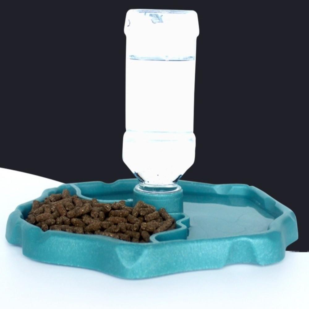 Easy-Clean Reptile Feeder Removable Small Pet Bowl New Turtle Water Dispenser  Pet Supplies