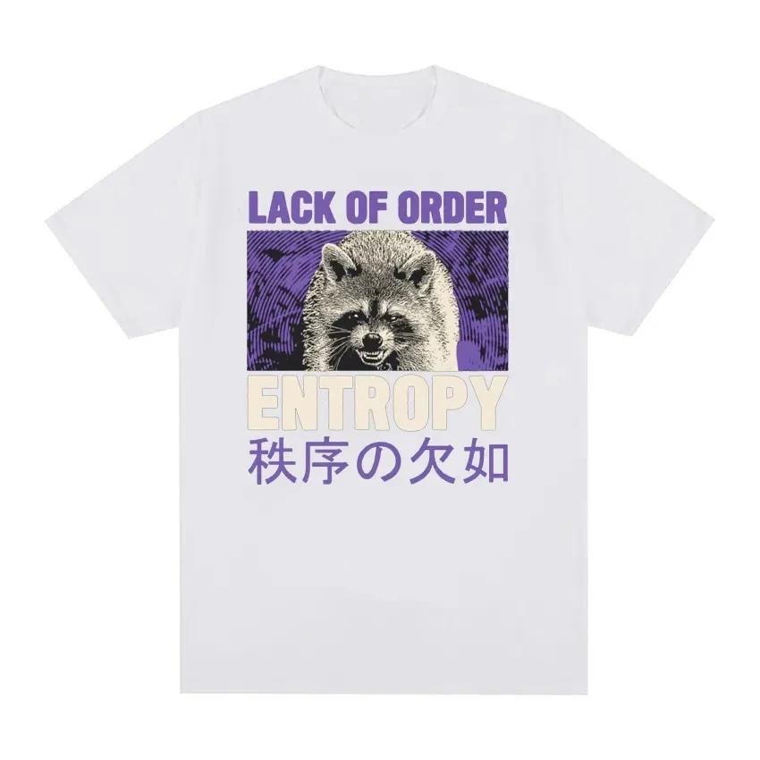 90s Retro Entropy Raccoon Funny Meme Tshirt Lack OF Order Men Women Fashion T-shirt O-Neck Cartoon T Shirt Printed Tees Top