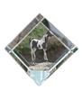 American Paint Horse – Crystal Cube with a Horse Picture, Horse Picture In Crystal |