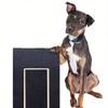 1 Stück Hundekratzbrett - Langlebiges Hundekratzbrett für empfindliches Krallenschneiden Kratzbrett - Nagelschleifbrett mit Leckerlis