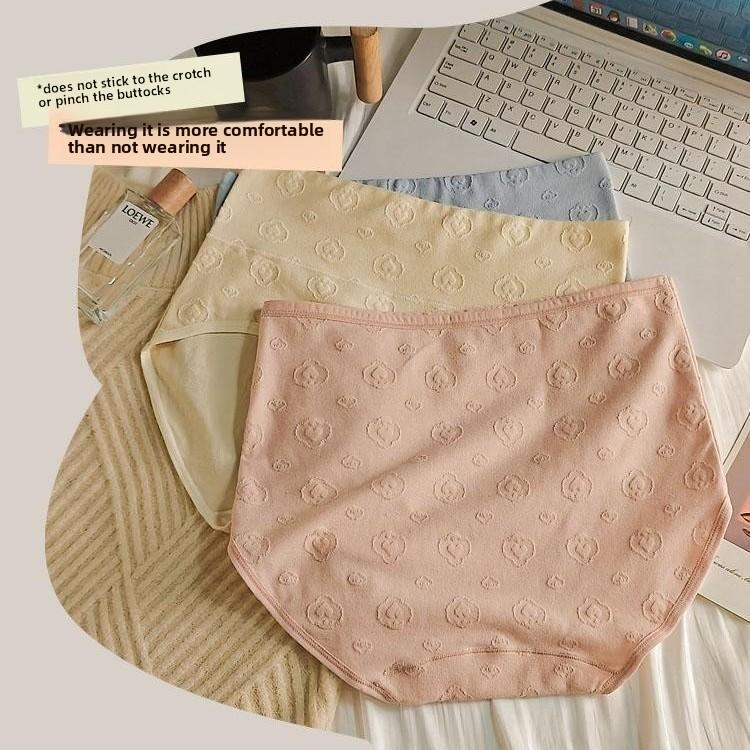 Ladies Spring and Autumn Cotton Extended Crotch Full Hip High Waist Briefs