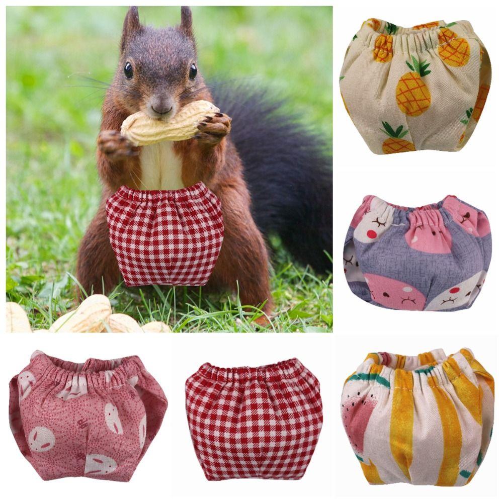 Absorbent Squirrel Diapers Flexible Closure Squirrel Underwear For Guinea Pigs, Squirrels