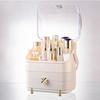 3 Tiers Makeup Organizer Holder Cosmetic Storage Box with Dust Free Cover Portable Handle 2 Rroomy Drawers