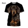 Cute Dachshund Graphics T-shirts Summer Fashion Short Sleeve 3D Funny Dog Printed T Shirts Casual Streetwear Oversized Mens Tees