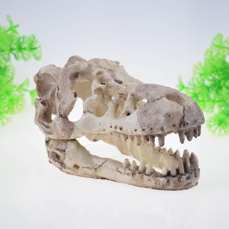 Dinosaur Skull Reptile Box: Creative Resin Display Ornament for Living Room or Bar