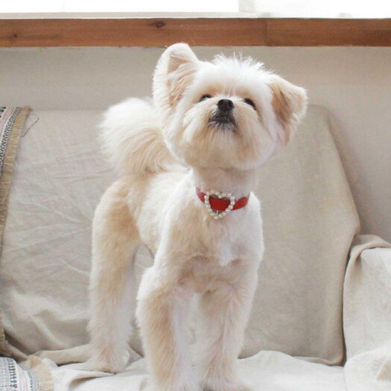 MAISON DE MIU Herzperlenkragen_Rot