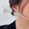 Silver Needle Artificial Crystal Transparent Flower Earrings Korean Fashion Stud Earrings Cute Personality Simple Versatile Earrings Women