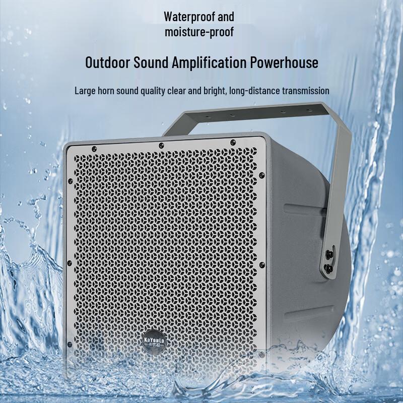 KaYouLa 10-Inch Professional Passive Full-Range Speaker (CN version)