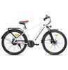 Adult Electric Bike HILAND EHD804 250W 26 Inch E-Bike Battery 7.8AH Mountain Wide Tire Electric Bike