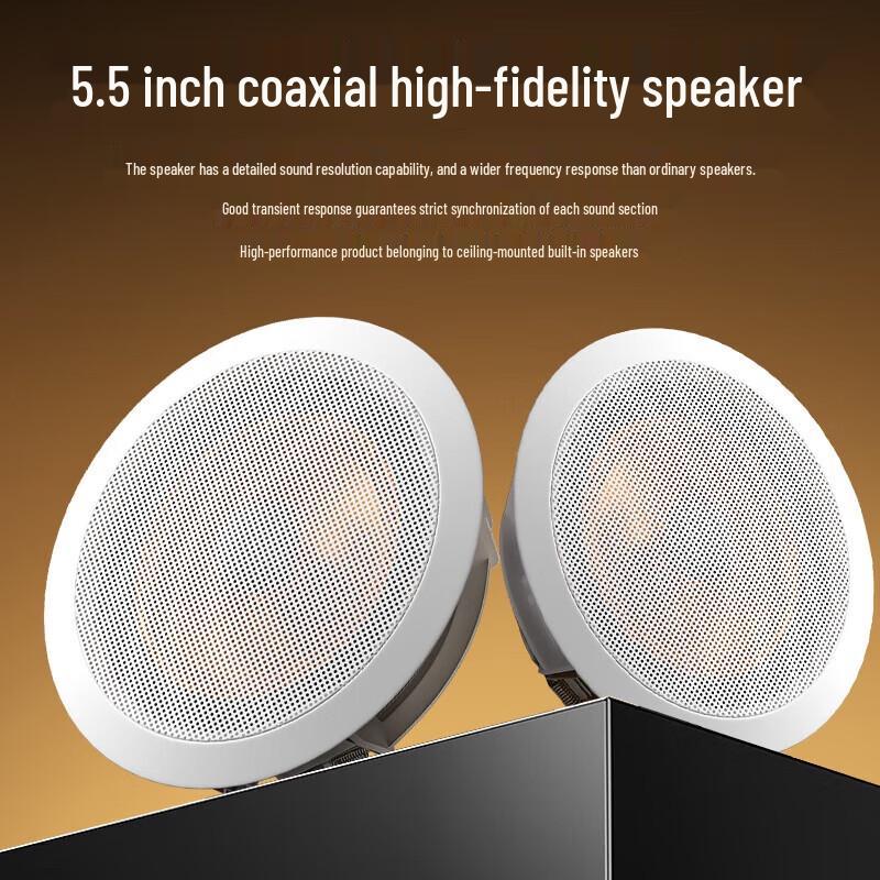 SAST Coaxial Ceiling Speaker System