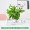 1pcs Small Transparent Plant Trellis Plastic Round Plant Auxiliary Support Plant Accessoriess Pot