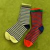 Color Day Socks_KSO260124