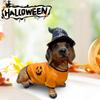 Halloween Dachshund Witch Hat Pumpkin Costume Dog Statue,Holiday Gifts For Friends