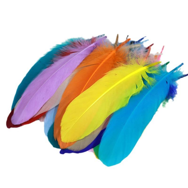 Barevná barvená velká husí pera pro DIY řemesla, ručně vyráběné dekorace a projekty pro mateřské školy
