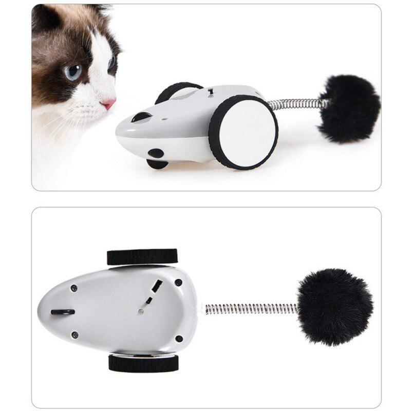 app controlled cat toy