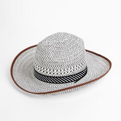 Cowboy Style Fashion Hat (Men's)