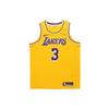 Nike Nba Anthony Davis La Lakers Icon Edition 2020 Jersey CW3669-728