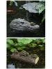Frog Duck Resin Figurine: Miniature Floating Decoration for Home and Garden