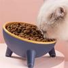 Anti Slip Pet High Footed Bowl 15° Inclination Anti Vomiting Cat Food Water Bowl Wide Mouth Protect Cervical Vertebra