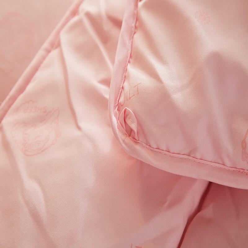 Hengyuanxiang Thick Winter Wool Quilt