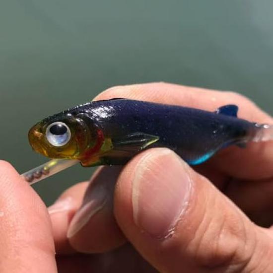 Hatakui Gyoshi RUDIE'S (Pink Sardine, 4.0 Inch)