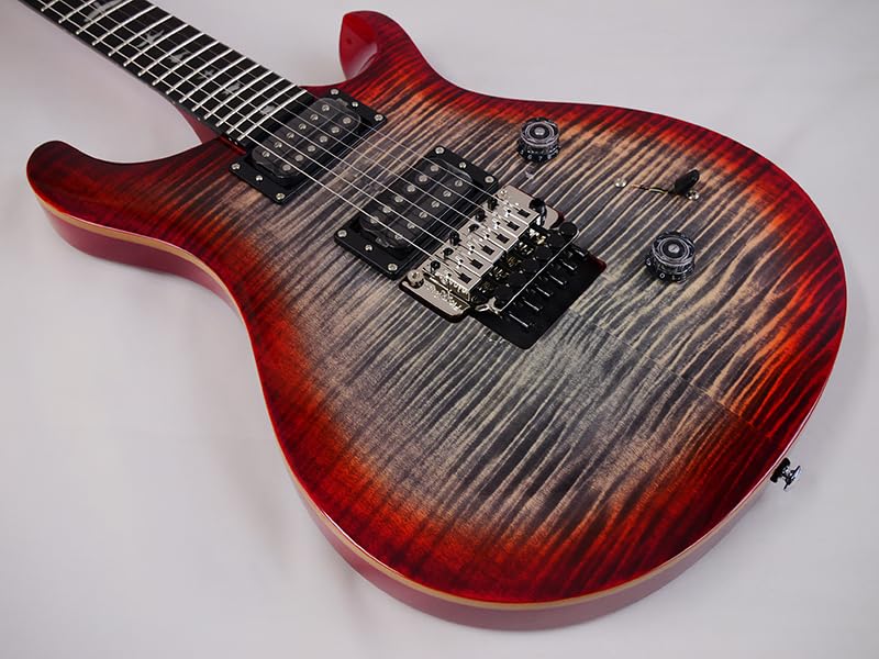 Paul Reed Smith (PRS) SE Custom 24 Floyd (Charcoal Cherry Burst)