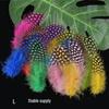 Plumes à Pois Naturelles pour Accessoires de Bâtonnet Jouet pour Chat DIY - 50 pcs.