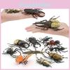 Insect Collection Model Pvc Animal Replica For Nature Study And Educational Use