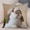 Cute Rabbit Cushion  Pillowcase Pillow S for Sofa Car Home Decor Pet Animal Pillow  Cotton Short Plush  ,(4)