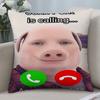 John Pork Is Calling Pillow Case 3D Print Polyester Fiber 40*40 Cm Home Sofa Throw Pillow Cover Decoration Festival Gift