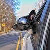 Pet Glasses Dog Supplies Goggles Waterproof Wind Proof Sun Proof UV Proof Big Dog Glasses LS