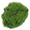 Sztuczny Ozdobny Mech na Dekoracje Świąteczne do Terrariów, Roślin Doniczkowych 150g Sztuczna Zielona Trawa na Dekoracje Stołu
