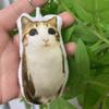 Plush Doll Keychain with Sound Function Soft Stuffed Toy Accessory for Bags Backpacks and Keys Durable Material Key Ring Attachment