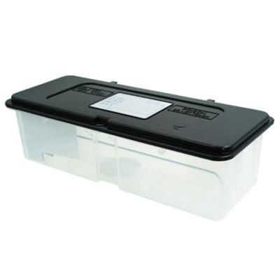 Arrumação e limpeza de casa – Proteção contra pragas de casa