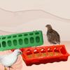 Flip-Top Plastic Bird Feeder Poultry Ground Feeder Pheasant Feeding Bucket Chicken Feed Trough