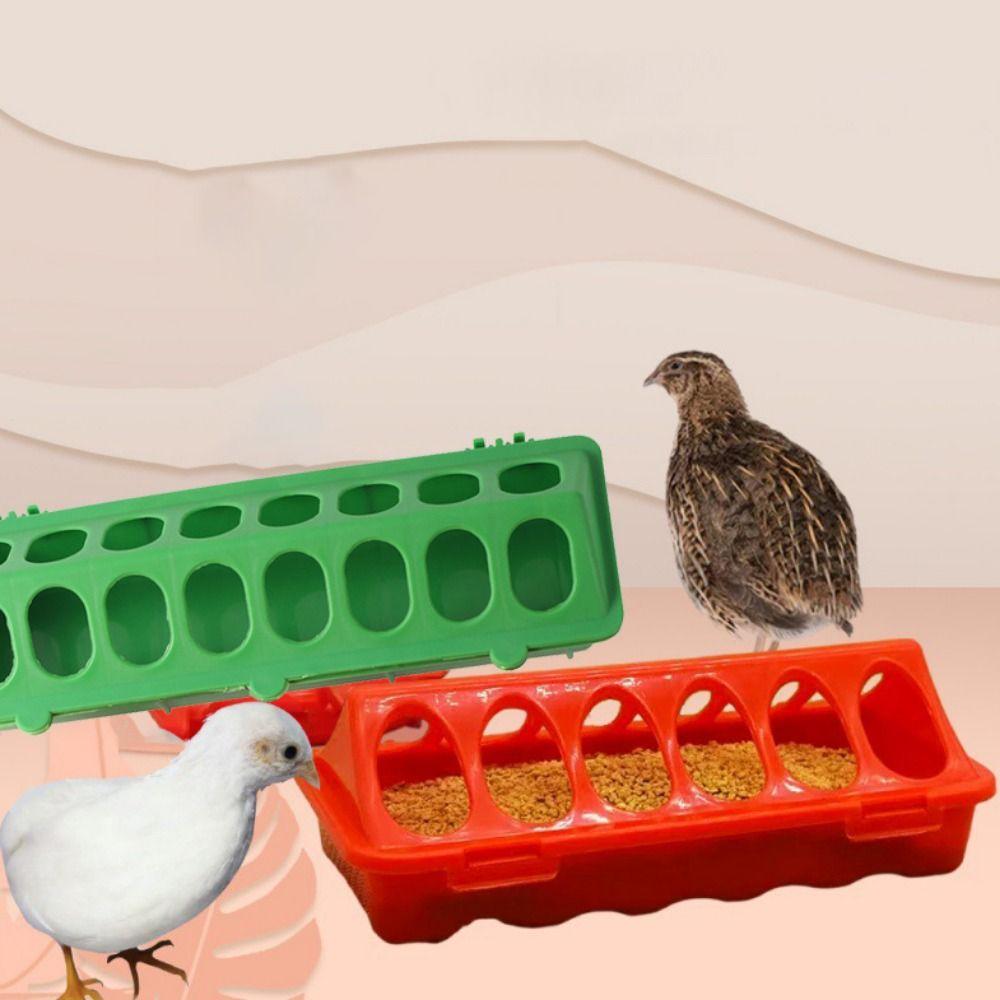 Flip-Top Plastic Bird Feeder Poultry Ground Feeder Pheasant Feeding Bucket Chicken Feed Trough