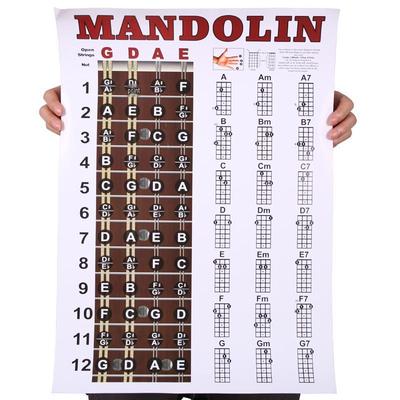 Mandolin Chord & Fingering Practice Diagram
