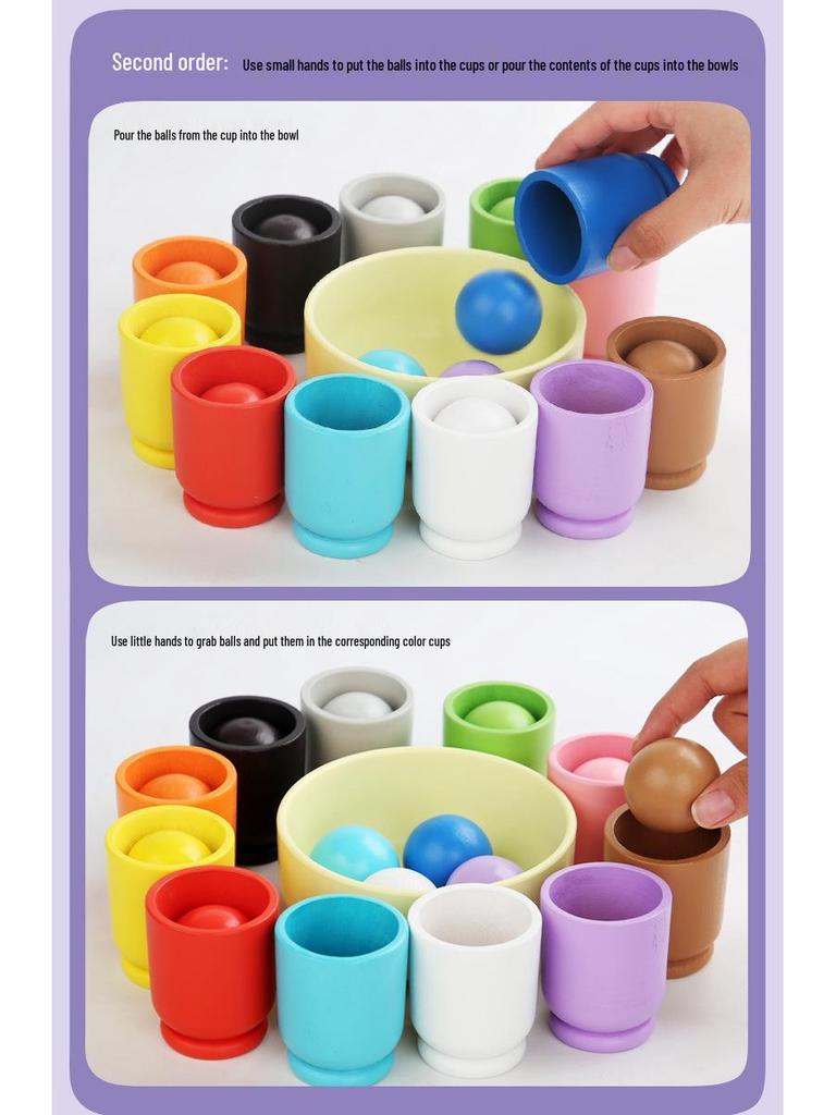Montessori Kleinkind Farbsortierbecher: Frühes Lernspielzeug zur kognitiven Entwicklung