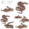 Intricate Large Python Snake Decorative Model In Pvc Ideal For Imaginative Play