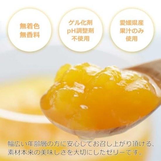 Miyamoto Orange Garden Jelly Mandarin Ehime Produce Agar 100g Pouch Assorted No Coloring Fragrance Domestic Household Use Fruit Jule Chemical (3