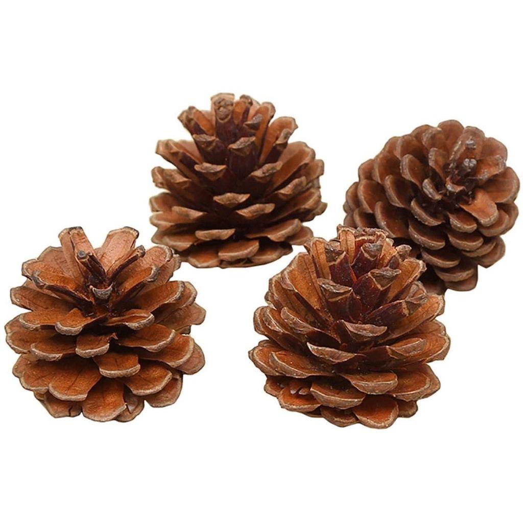 Natural Pine Cone for Christmas Tree Decoration (Pack of 6) | Christmas Ornaments Props | Christmas Decorations Items for Home Office